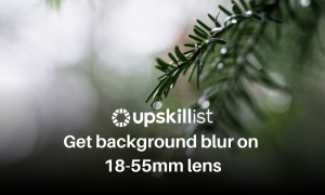 Blog Upskillist sẽ giúp bạn tăng cường kỹ năng chụp ảnh thông qua những bài viết hướng dẫn và chia sẻ kinh nghiệm của các nhiếp ảnh gia hàng đầu. Hãy đến với Upskillist để cùng nhau khám phá và nâng cao kỹ năng chụp ảnh của bạn. Hãy xem hình ảnh tương ứng và bắt đầu khám phá.