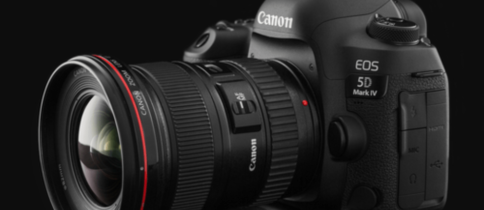 Canon vs Nikon for Beginners: The Three Key Differences