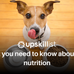 What You Need To Know About Dog Nutrition?